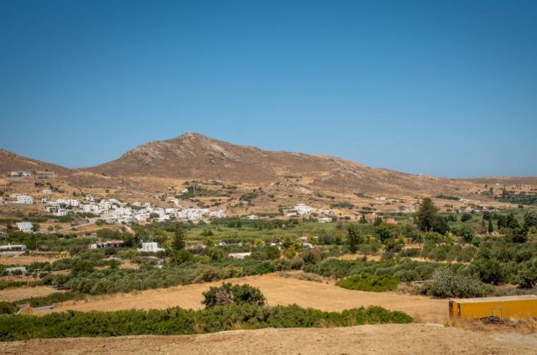 Anthea Suites in Naxos